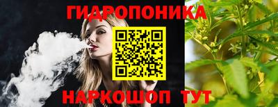 a pvp Пушкино