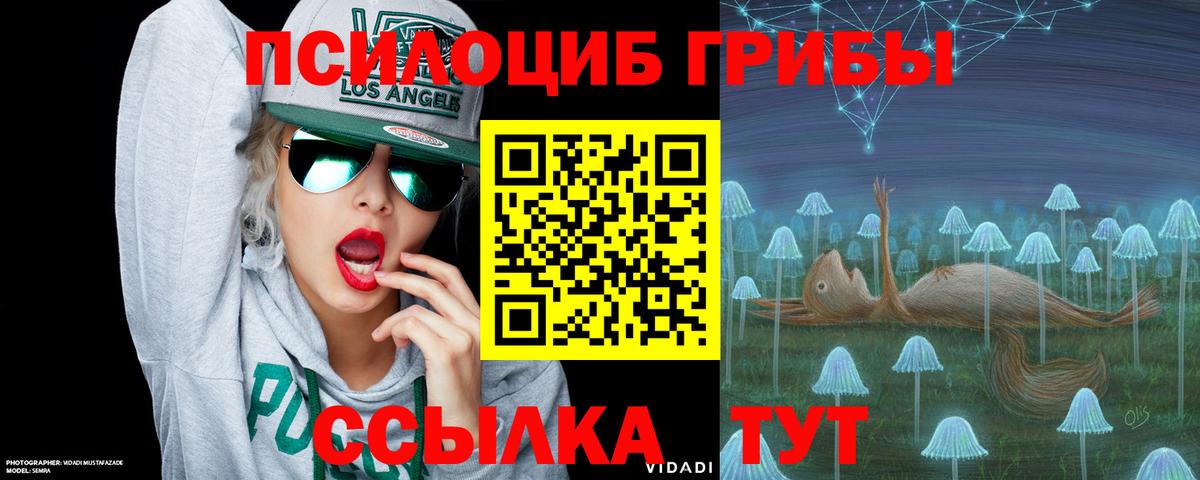 Галлюциногенные грибы прущие грибы Прохладный